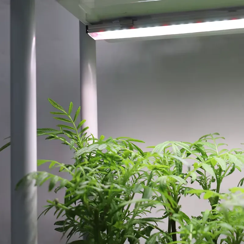 Indoor Herb Garden - Movable Vertical Grow 3 Level Self