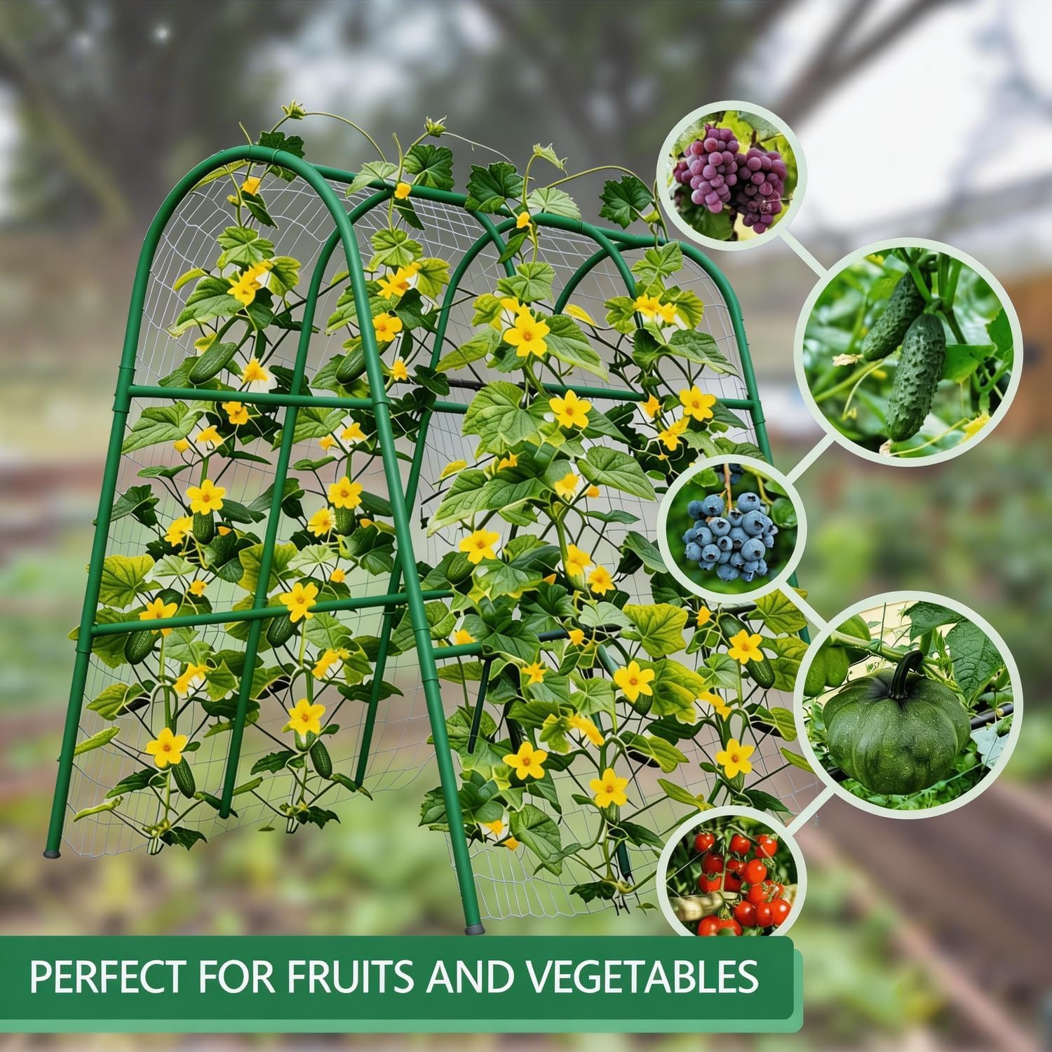 4x5.3FT Garden Arch Trellis fo - Raised Garden Bed ulasan dan harga