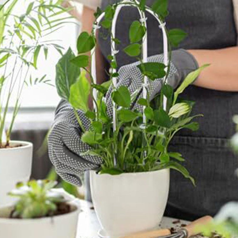 2pcs Acrylic U-shaped Plant Ra - Indoor Herb Garden ulasan dan harga