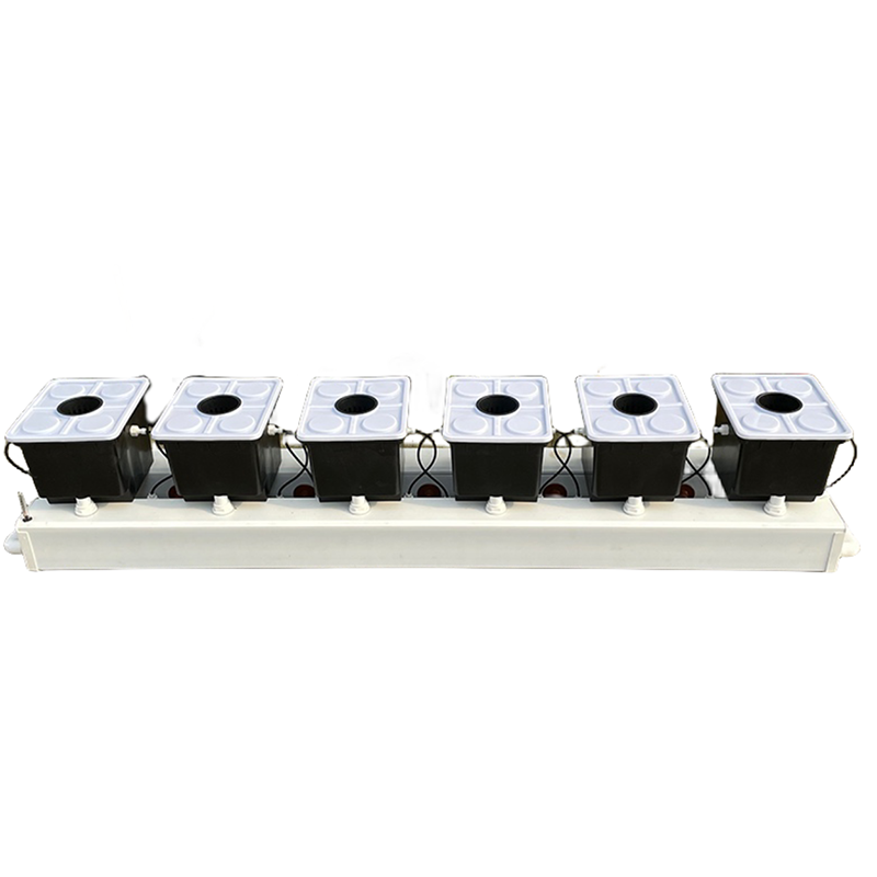 Dutch Bucket Hydroponic System - Hydroponic Kit ulasan dan harga