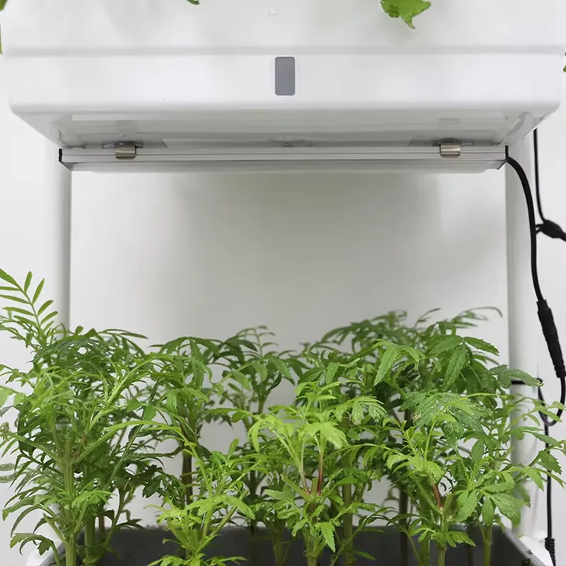 Movable Vertical Grow 3 Level  - Indoor Herb Garden ulasan dan harga