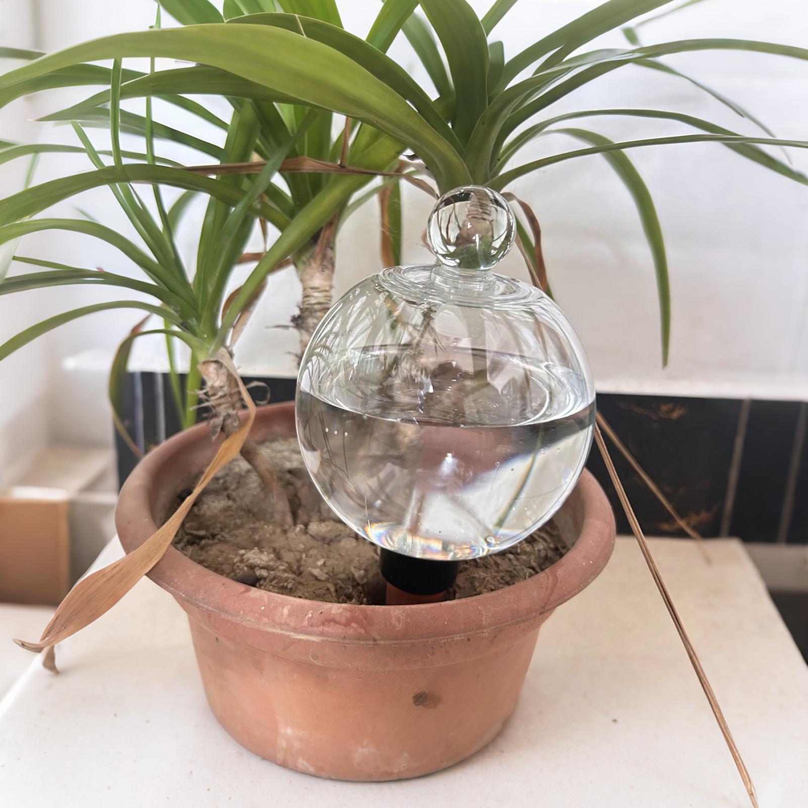Plant Watering Bulbs 4pcs 500m - Self Watering Planter ulasan dan harga