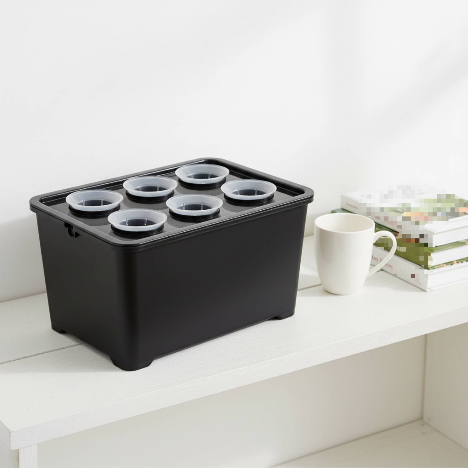 Hydroponic Planting Box Sunlig - Hydroponic Kit ulasan dan harga