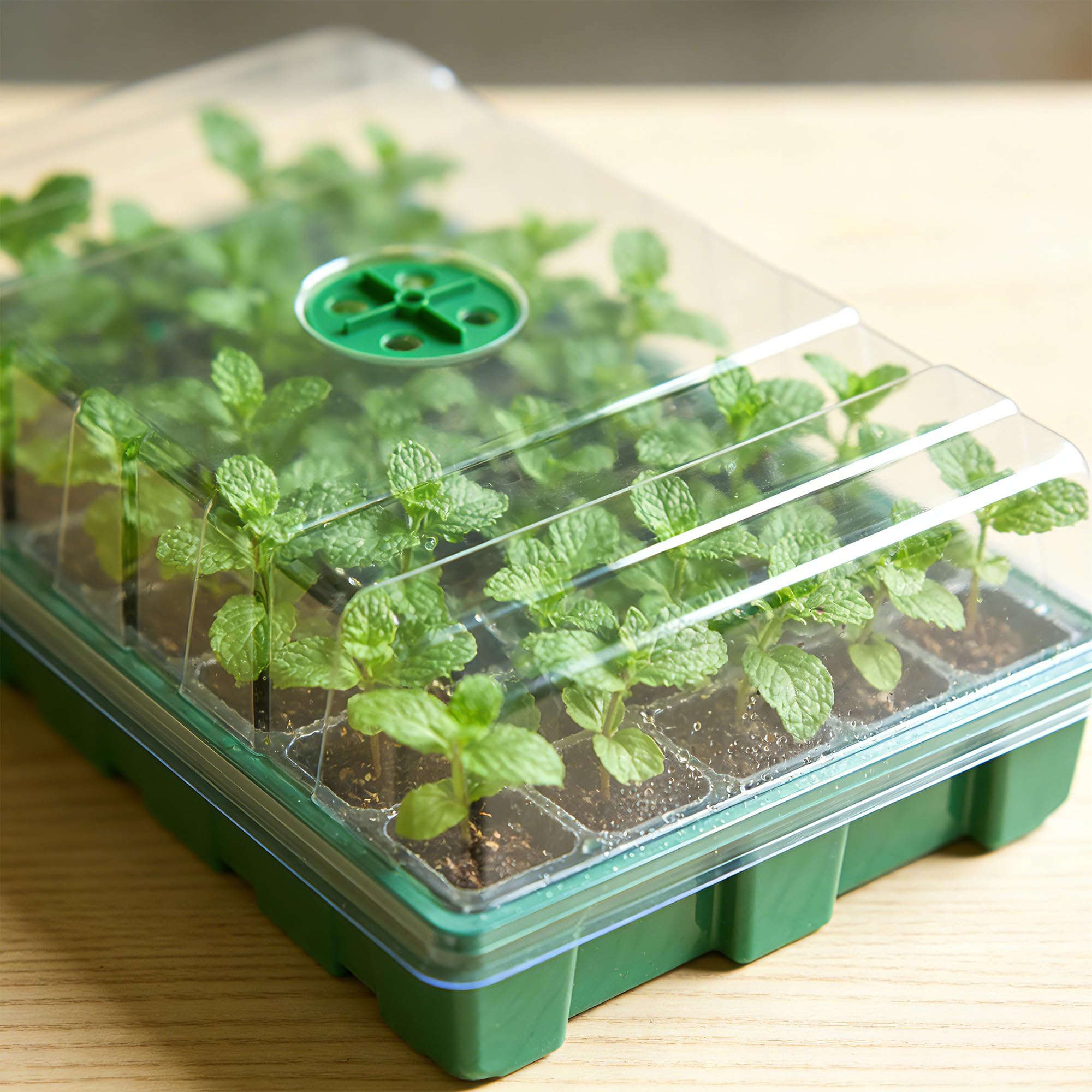 With Transparent Cover Greenho - Seed Starter Tray ulasan dan harga