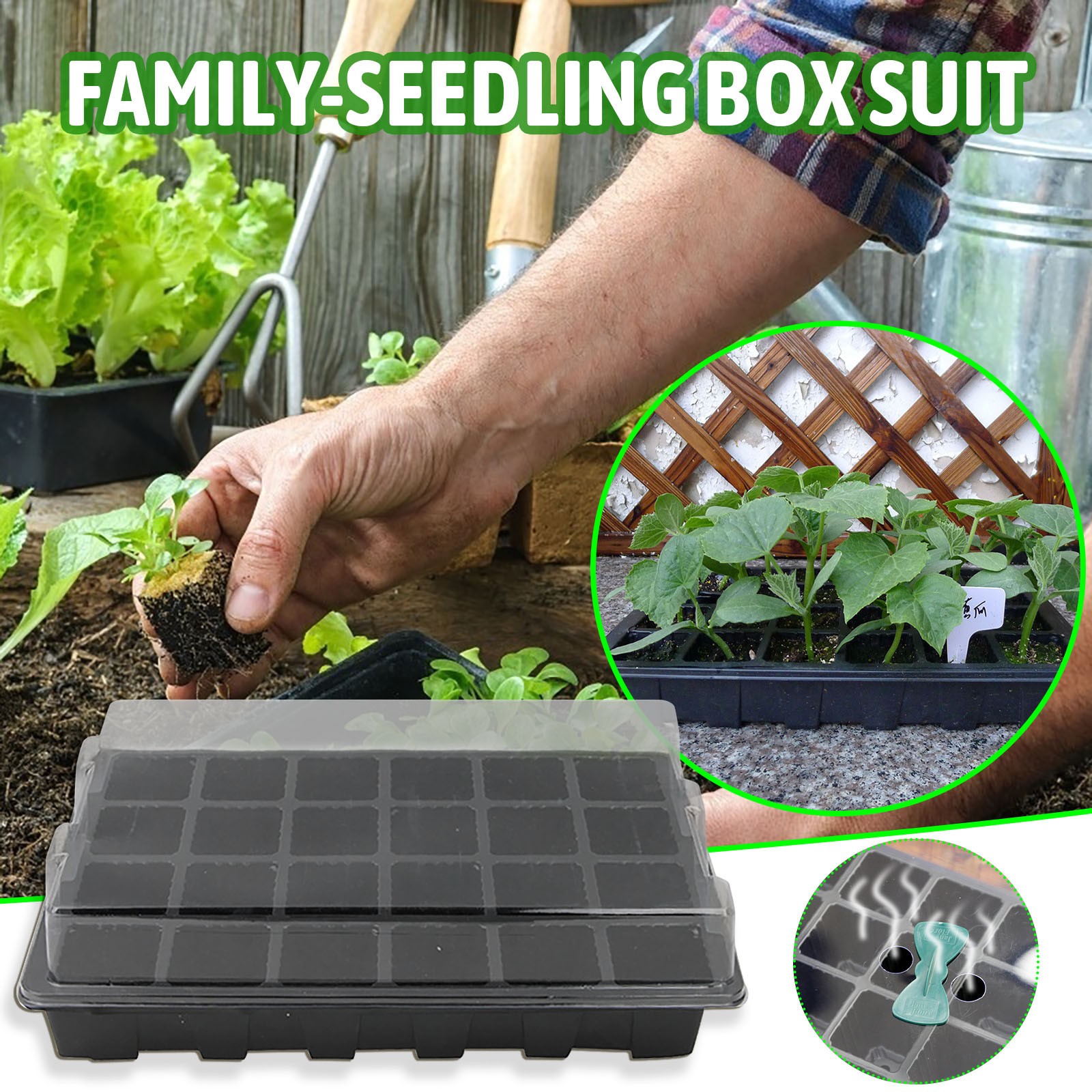 24 Cells Seedling Tray Germina - Seed Starter Tray ulasan dan harga