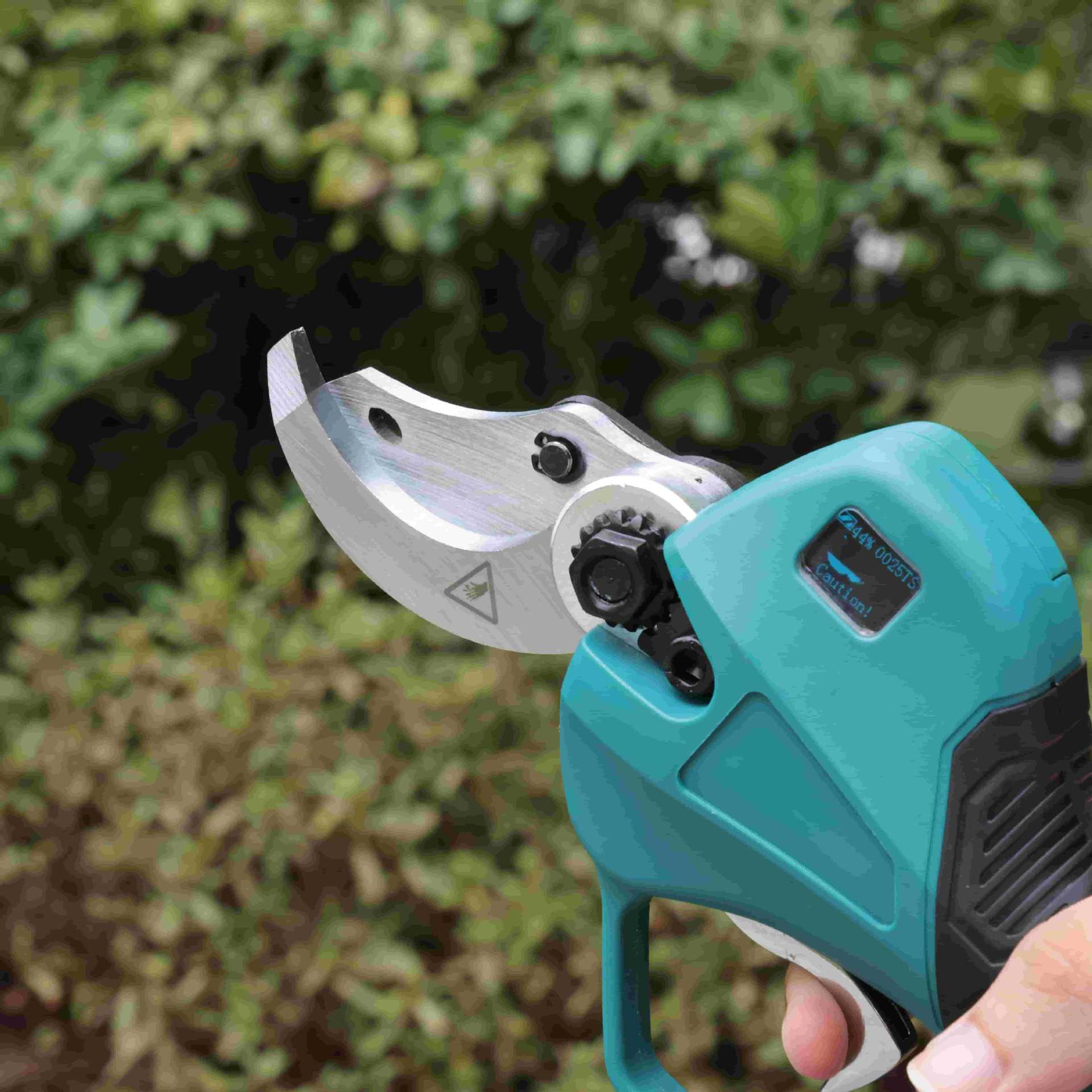High pole garden pruning shear - Pruning Shears ulasan dan harga