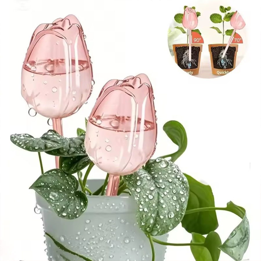 Transparent Thick PET Tulip Sh - Indoor Herb Garden ulasan dan harga