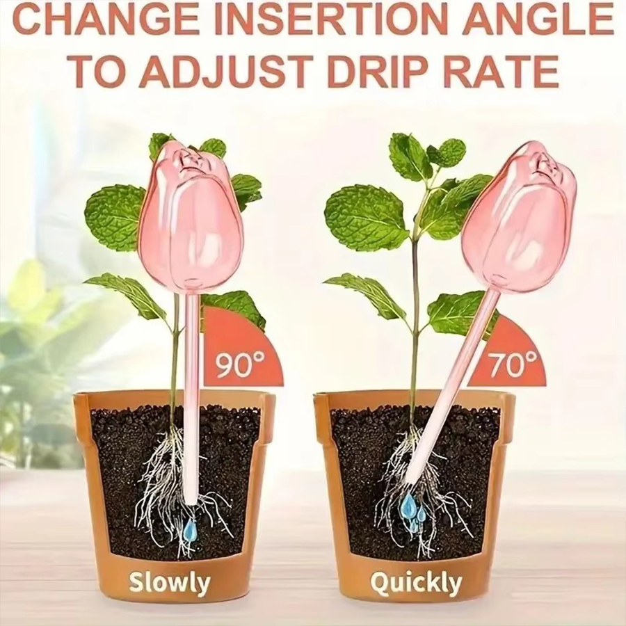 Transparent Thick PET Tulip Sh - Indoor Herb Garden ulasan dan harga