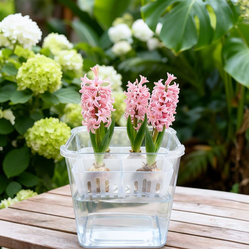Hydroponic Vase For Tulip Lily - Plant Pot ulasan dan harga