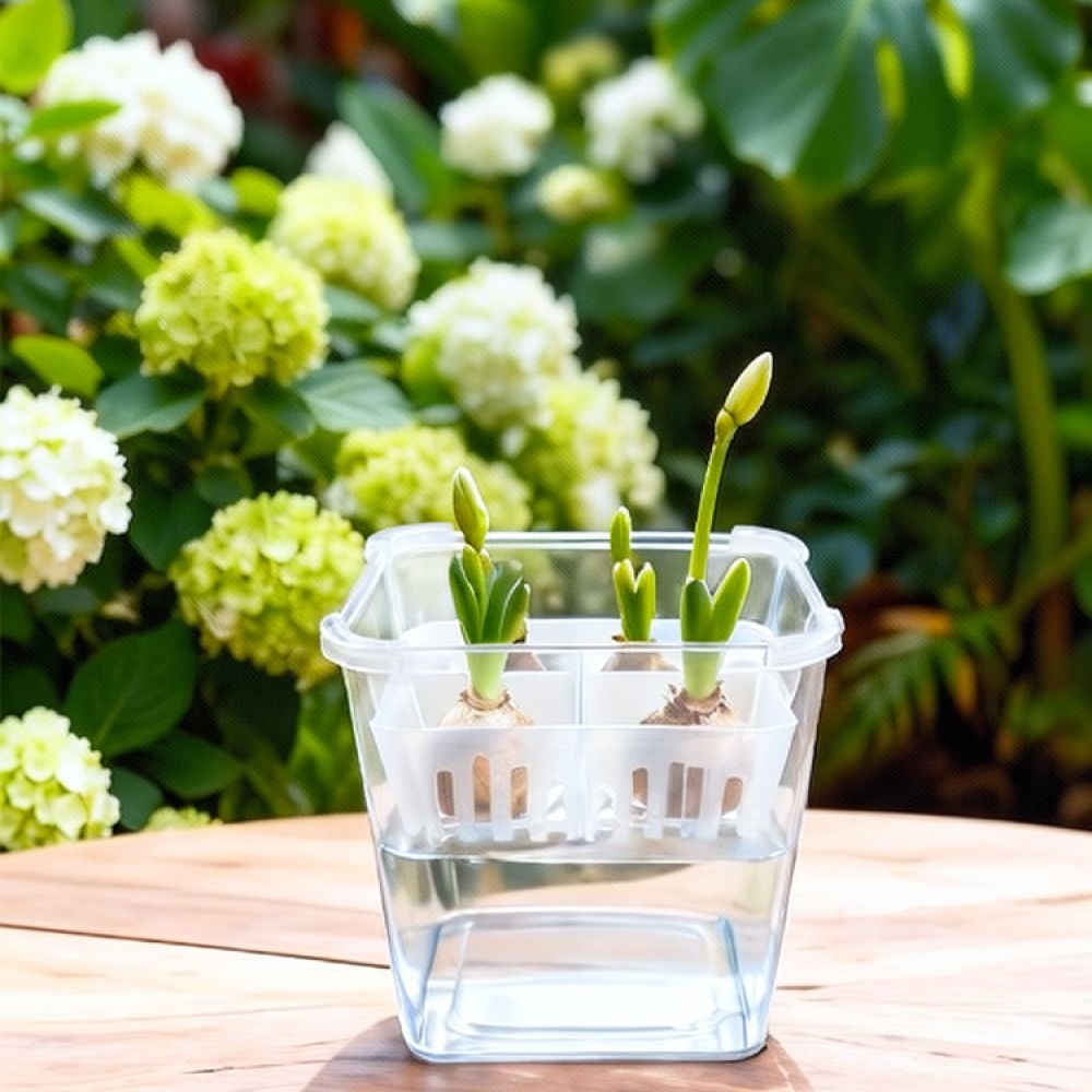 Hydroponic Vase For Tulip Lily - Plant Pot ulasan dan harga