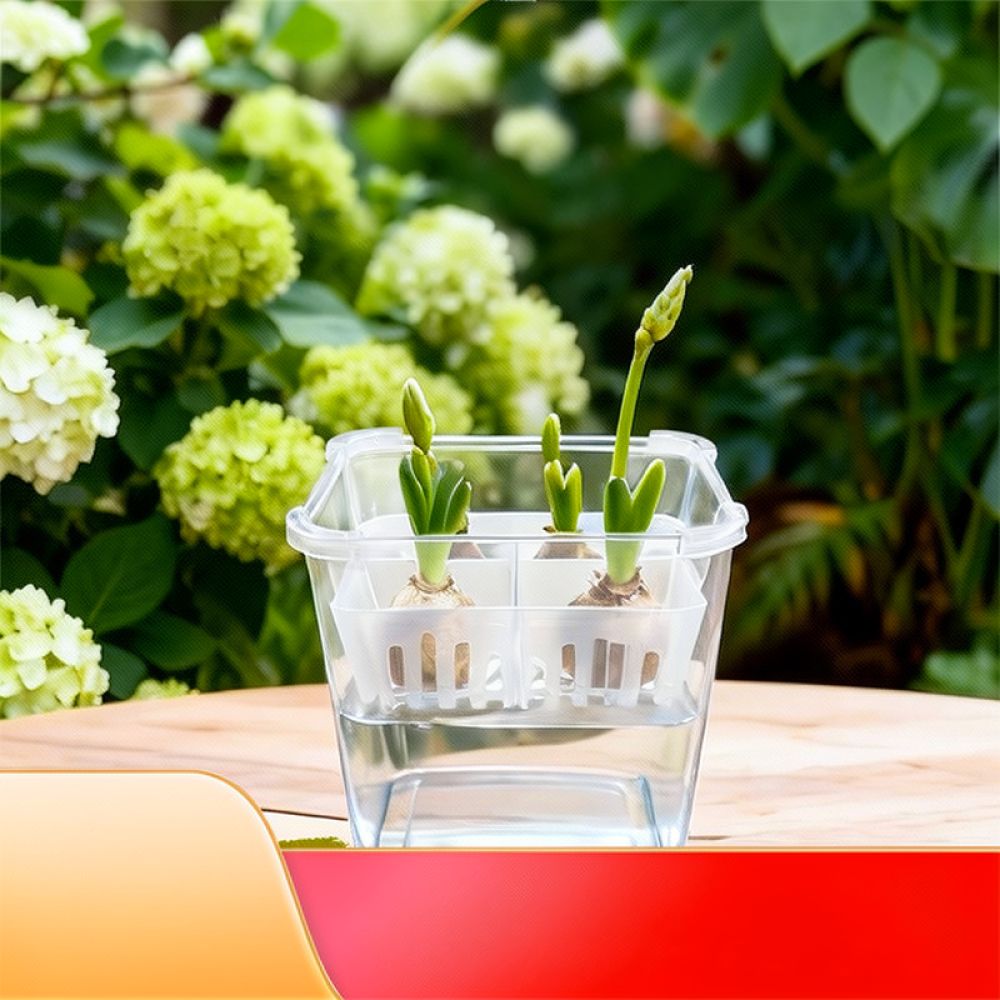 Hydroponic Vase For Tulip Lily - Plant Pot ulasan dan harga