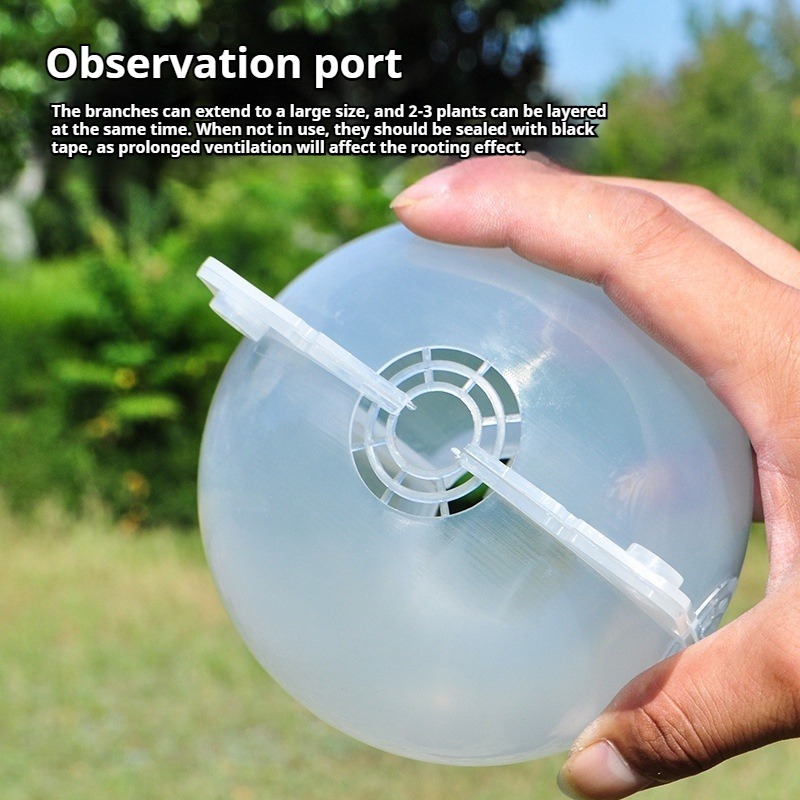 10pcs Plant Propagation Kit: H - Indoor Herb Garden ulasan dan harga