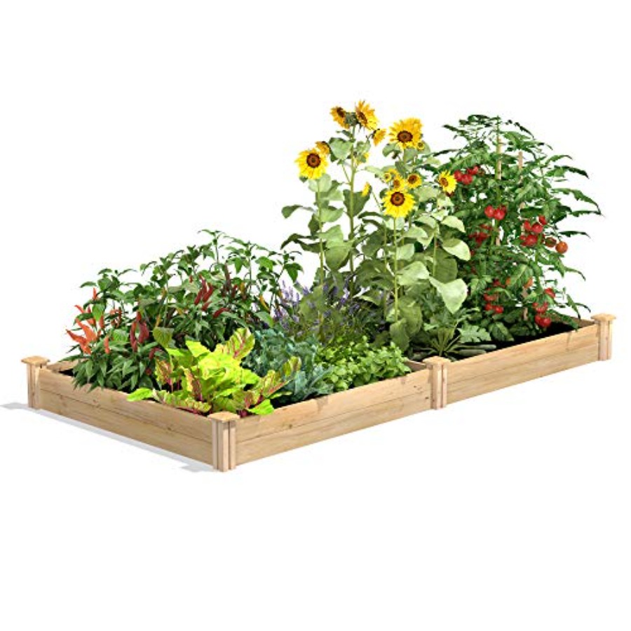 Raised garden bed for outdoor  - Raised Garden Bed ulasan dan harga