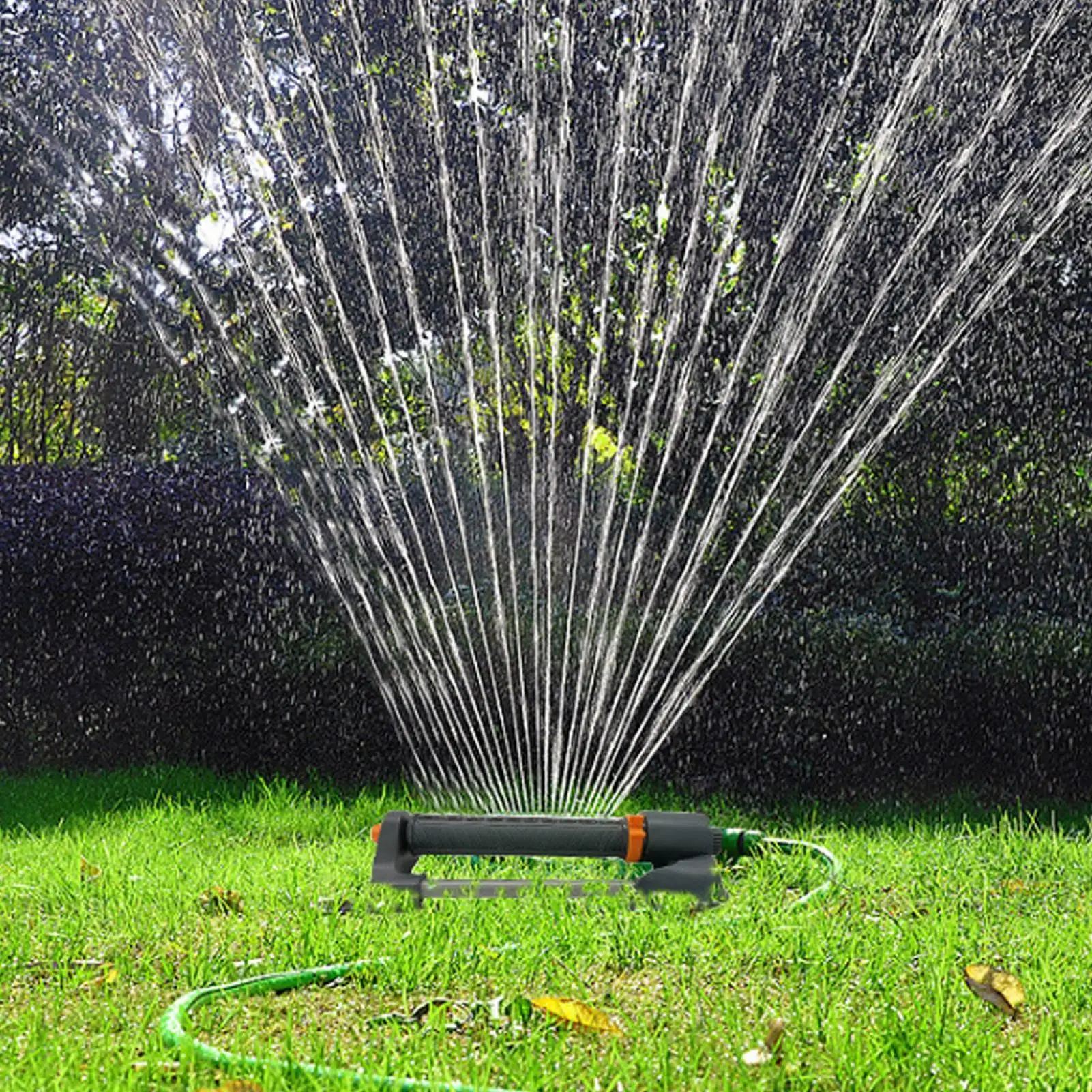 Water Sprinkler Oscillating Ga - Raised Garden Bed ulasan dan harga