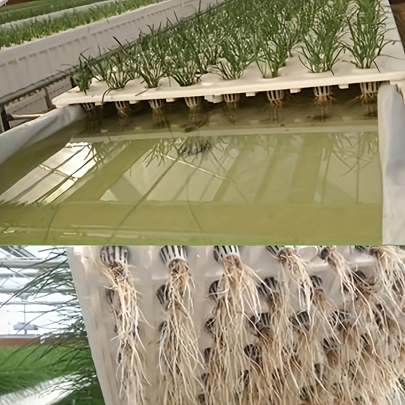 10pcs Hydroponic Seedling Bask - Seed Starter Tray ulasan dan harga