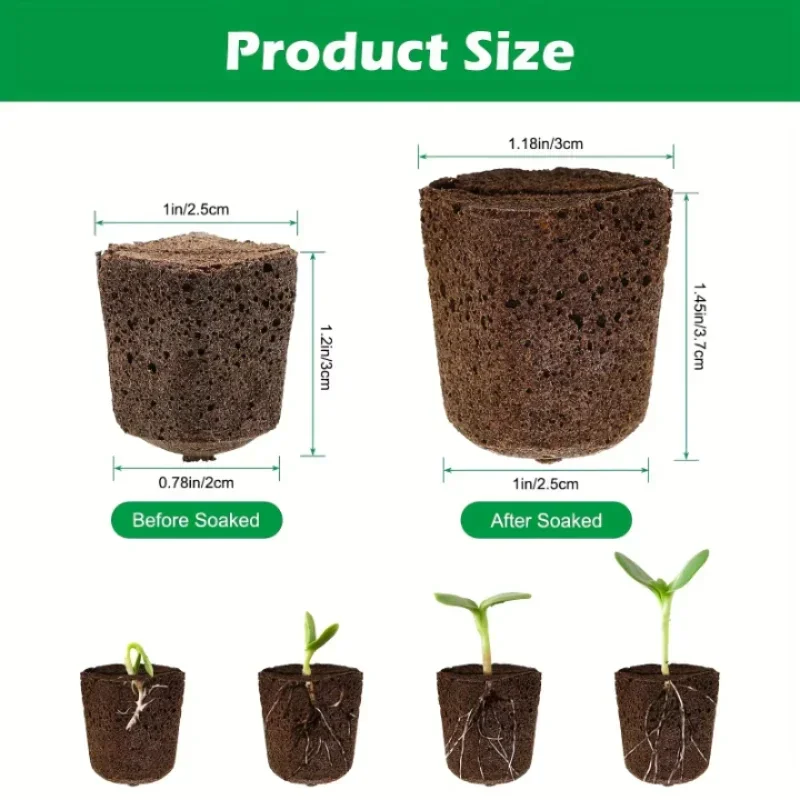 Seedling Starter Sponge Kit fo - Hydroponic Kit ulasan dan harga
