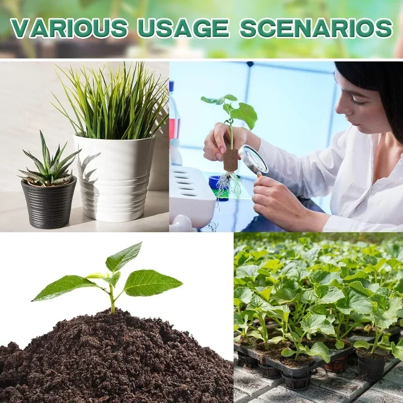 Seedling Starter Sponge Kit fo - Hydroponic Kit ulasan dan harga