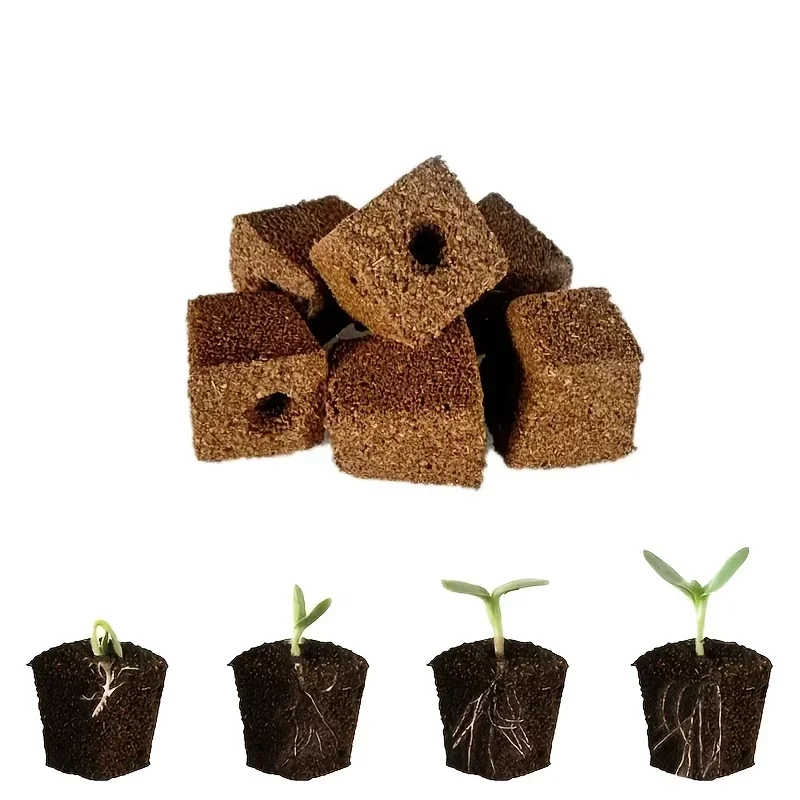 Seedling Starter Sponge Kit fo - Hydroponic Kit ulasan dan harga