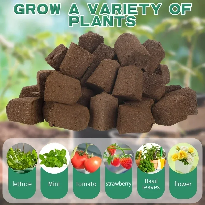 Seedling Starter Sponge Kit fo - Hydroponic Kit ulasan dan harga