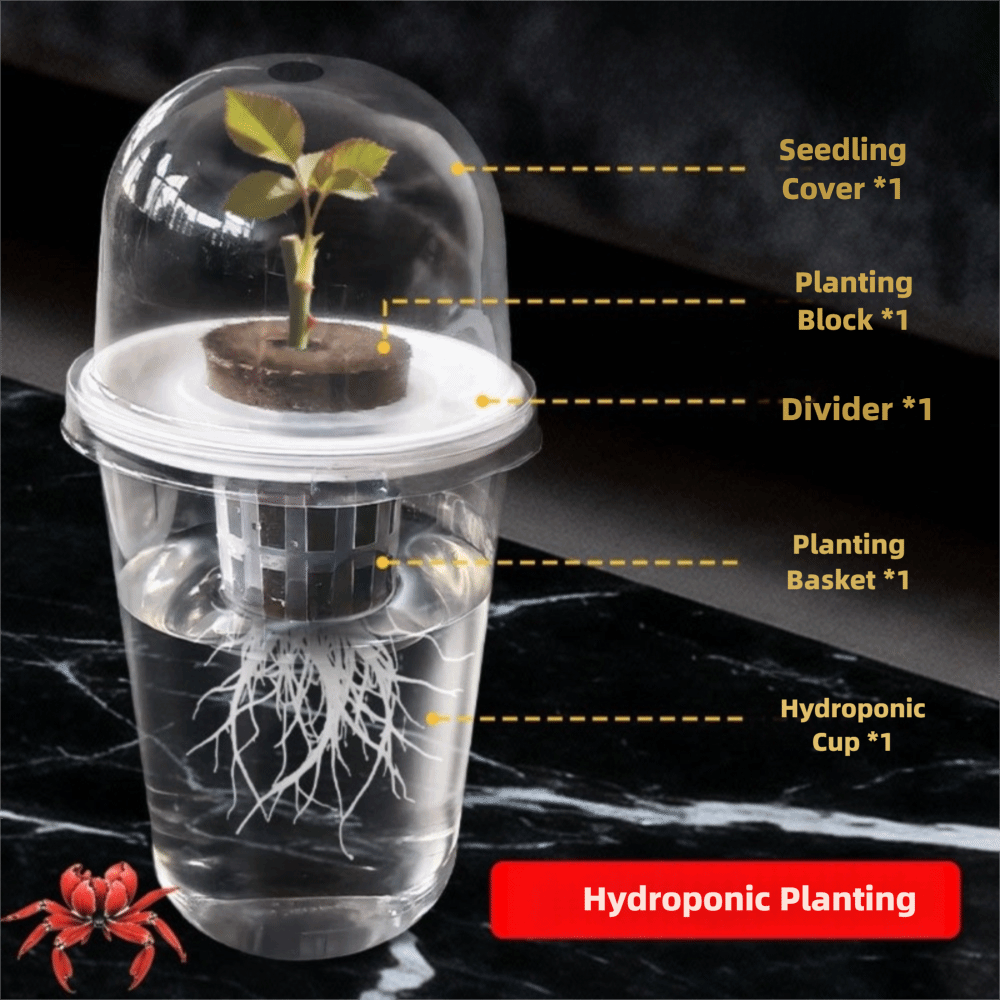1-5pc Visible Clear Plants Ger - Seed Starter Tray ulasan dan harga