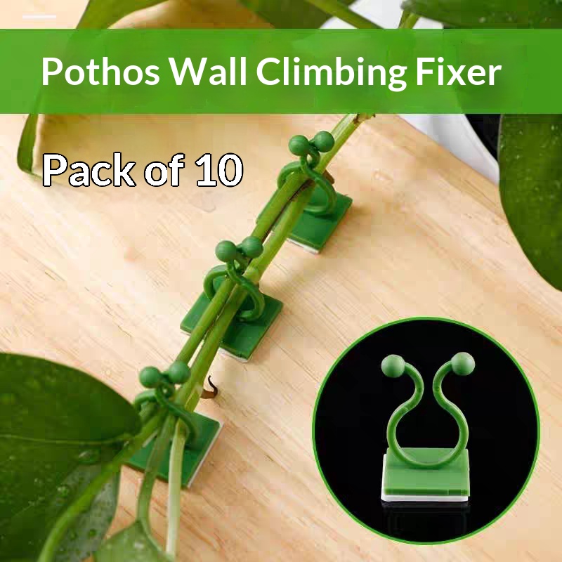 Self‑Adhesive Plant Climbing W - Indoor Herb Garden ulasan dan harga