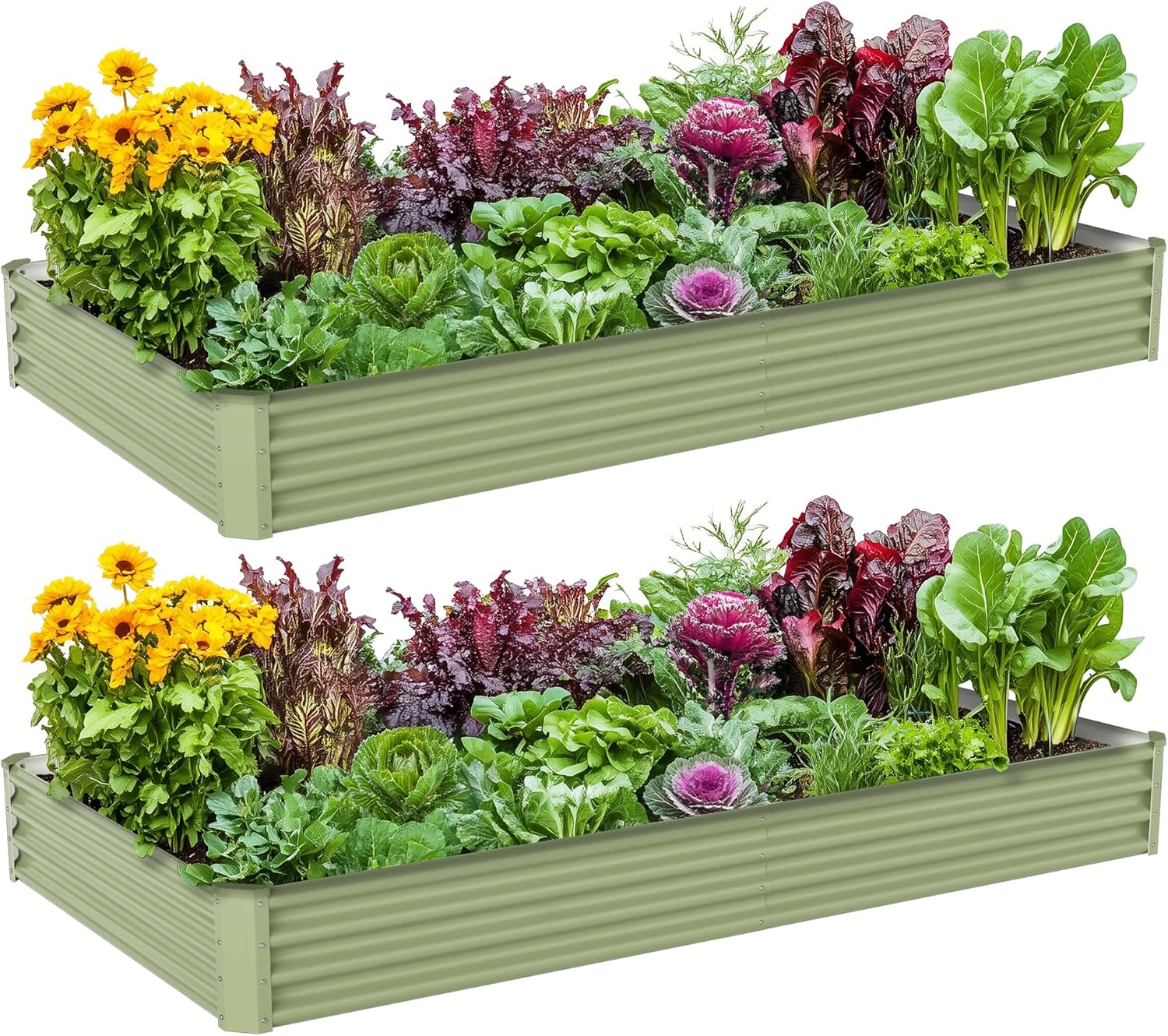 Outdoor Vegetable Gardening Me - Raised Garden Bed ulasan dan harga