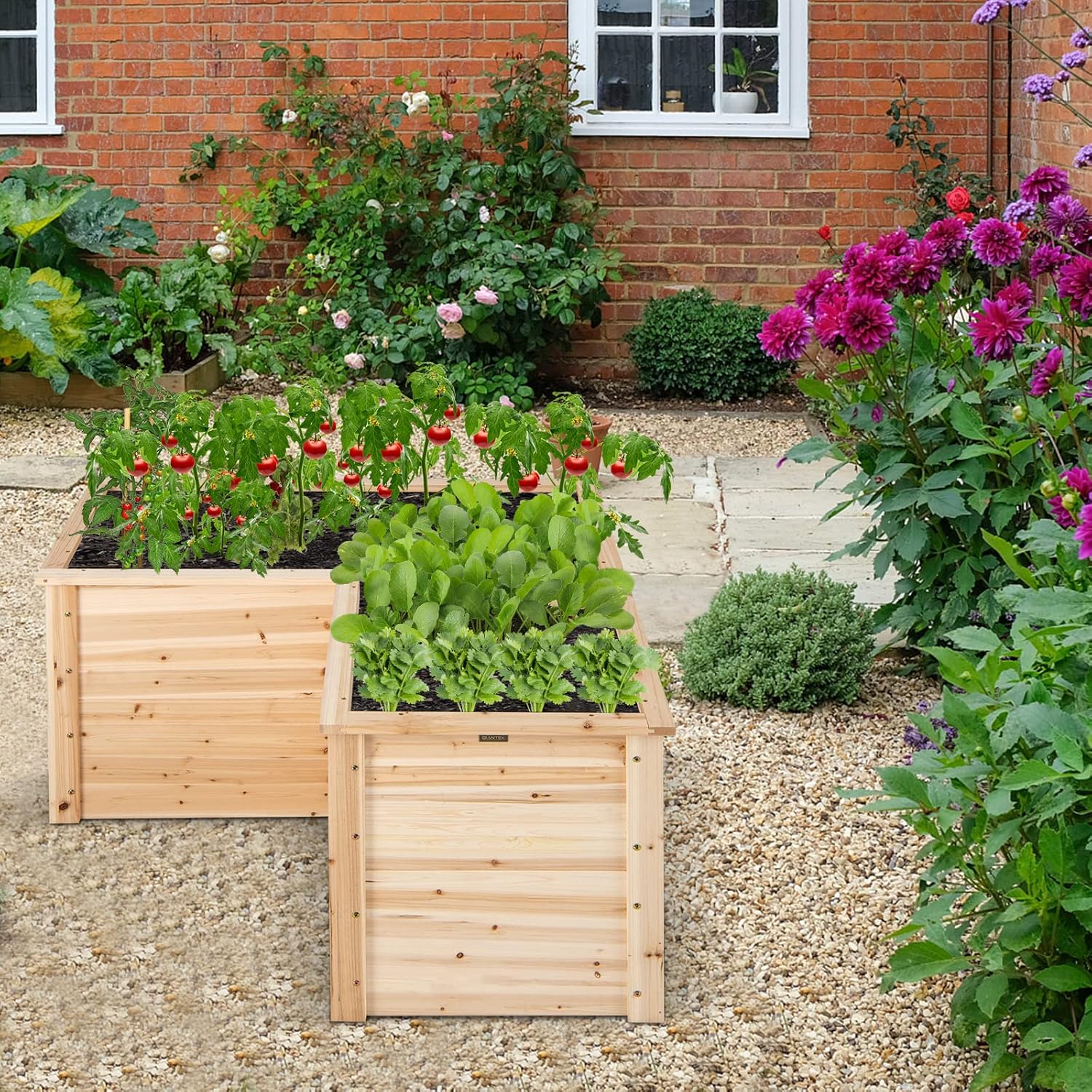 Outdoor Solid Wood Raised Gard - Raised Garden Bed ulasan dan harga