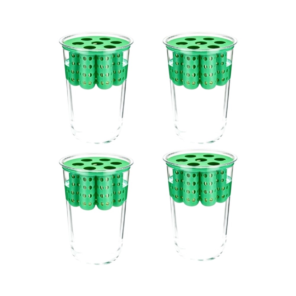 4pcs Green Onion Regrower Spro - Hydroponic Kit ulasan dan harga