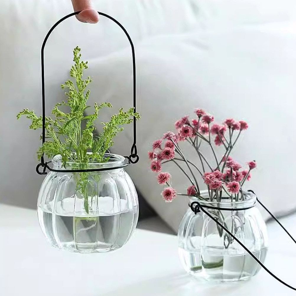 6 pcs Wall Mounted Indoor Hang - Vertical Planter ulasan dan harga