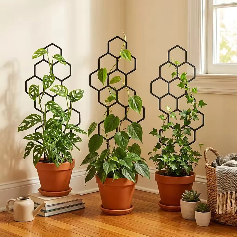 2/4pcs Honeycomb Design Plant  - Indoor Herb Garden ulasan dan harga