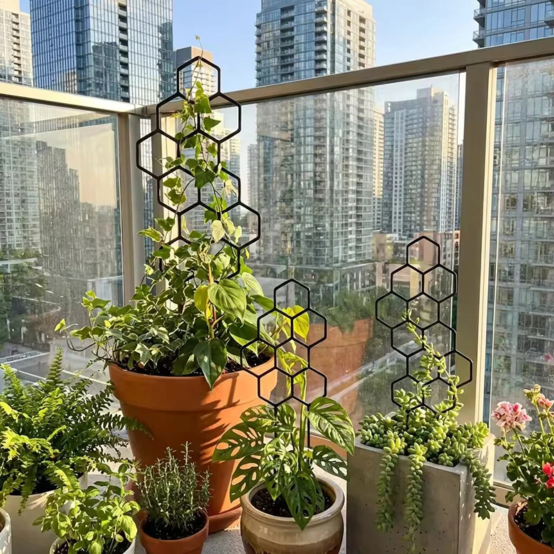 2/4pcs Honeycomb Design Plant  - Indoor Herb Garden ulasan dan harga