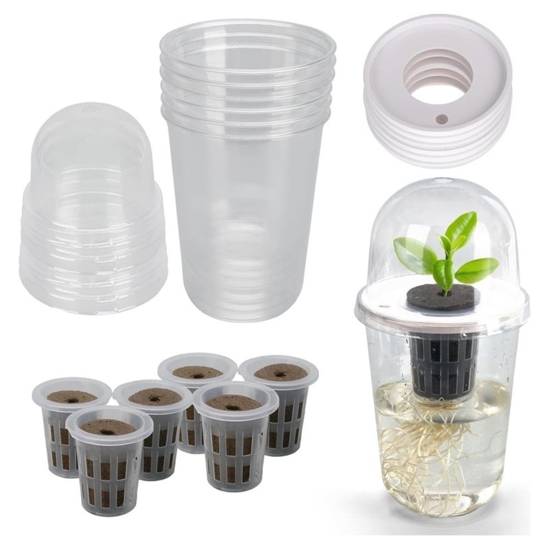[ABFI!】 Hydroponic Seedling Cu - Hydroponic Kit ulasan dan harga