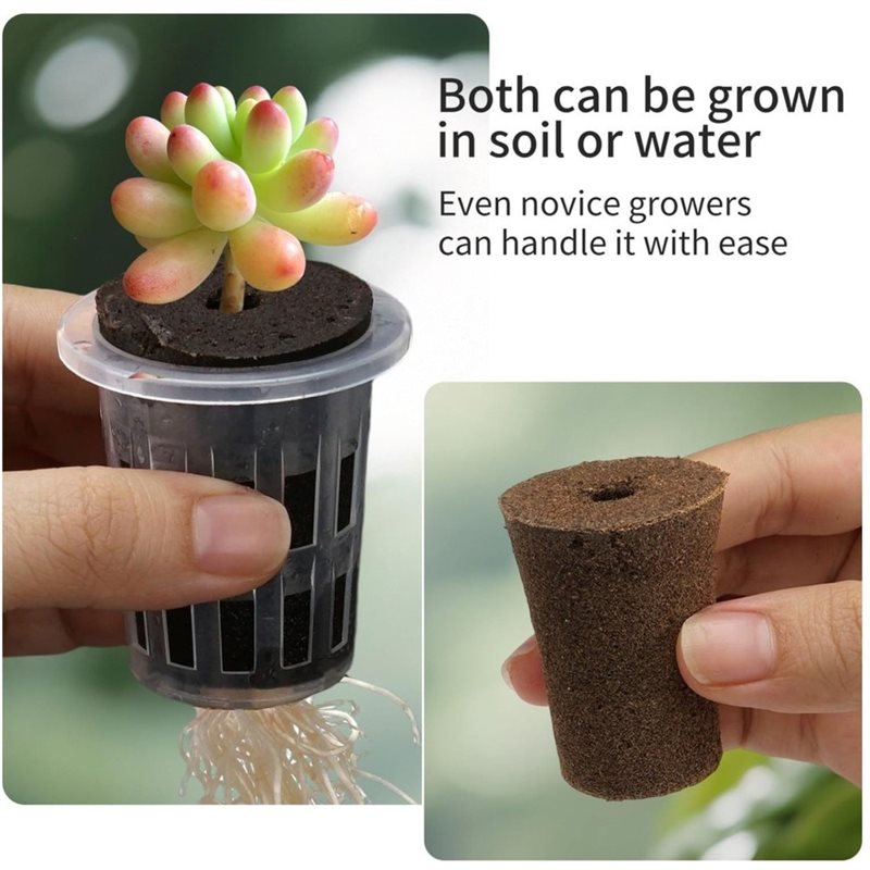 [ABFI!】 Hydroponic Seedling Cu - Hydroponic Kit ulasan dan harga