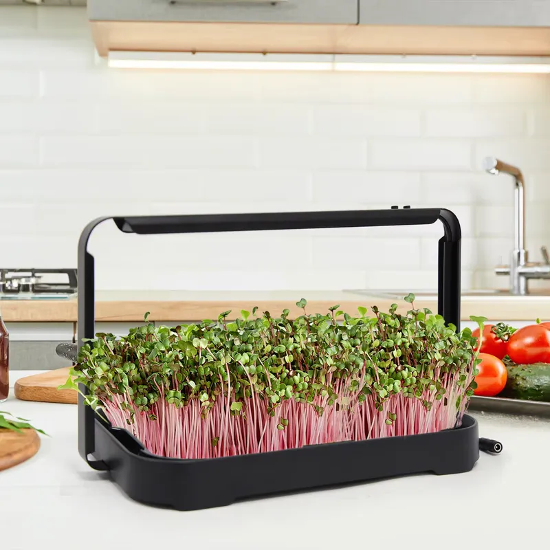 Hydroponic Tray Indoor Microgr - Hydroponic Kit ulasan dan harga