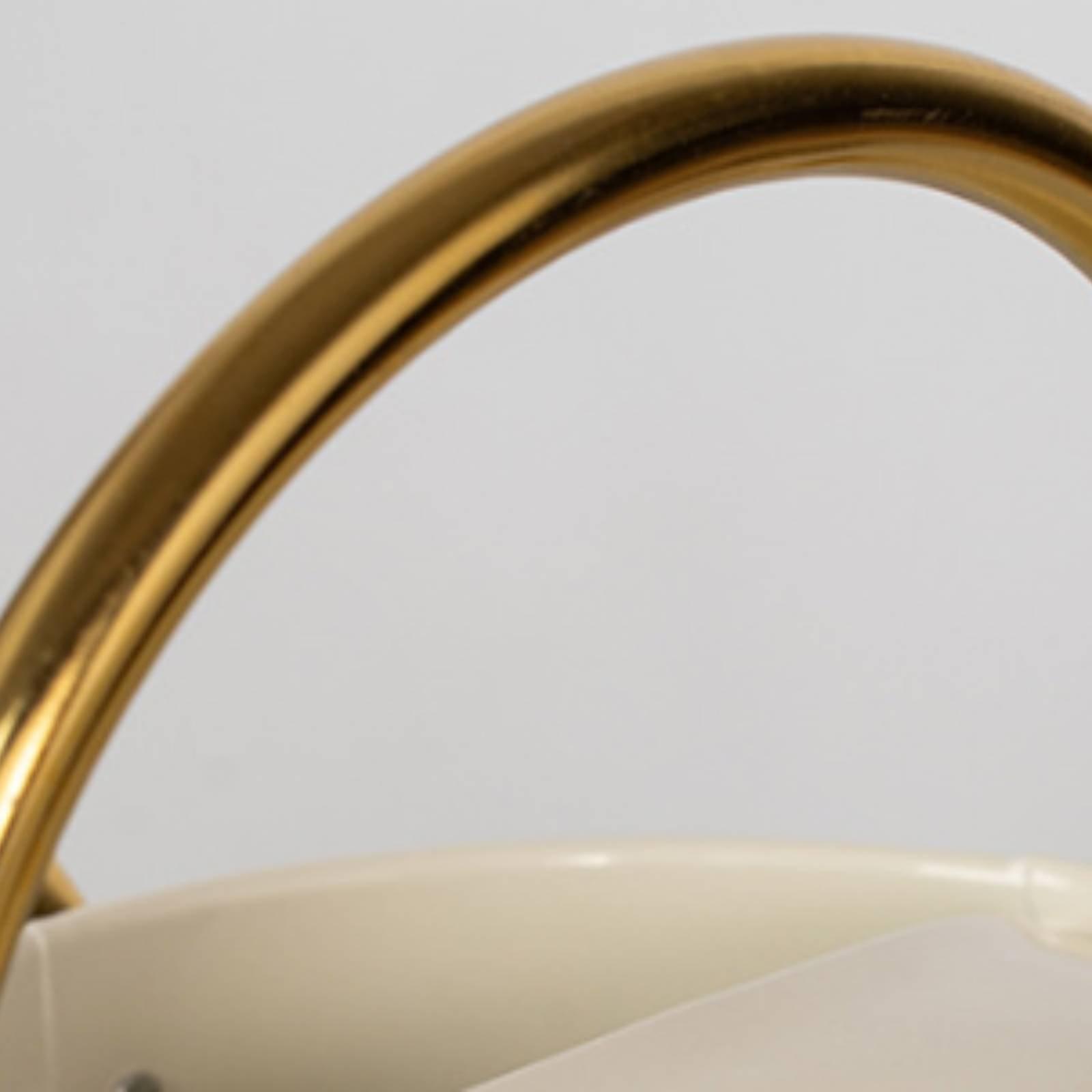 Long Spout Watering Can Leak-P - Watering Can ulasan dan harga