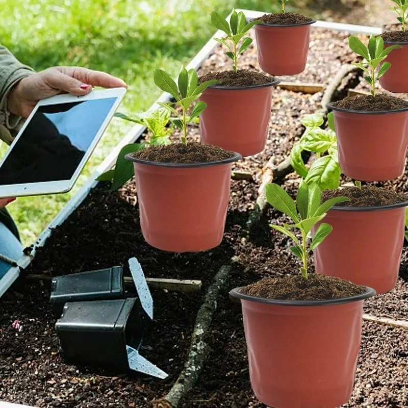 100/20x Seeding Nursery Pot Bl - Seed Starter Tray ulasan dan harga