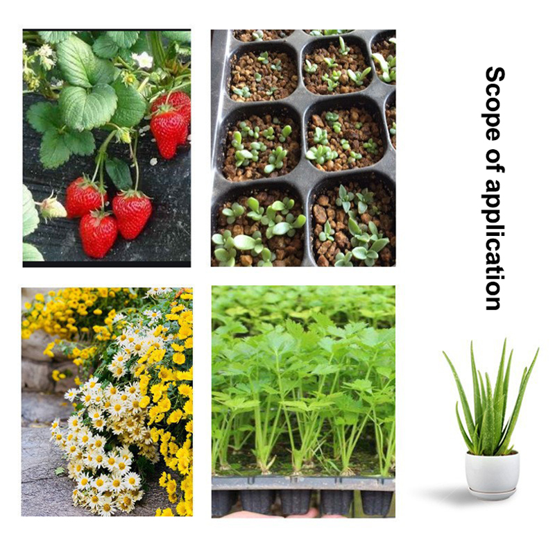 Hot 10Pcs Seedling Trays Plast - Seed Starter Tray ulasan dan harga