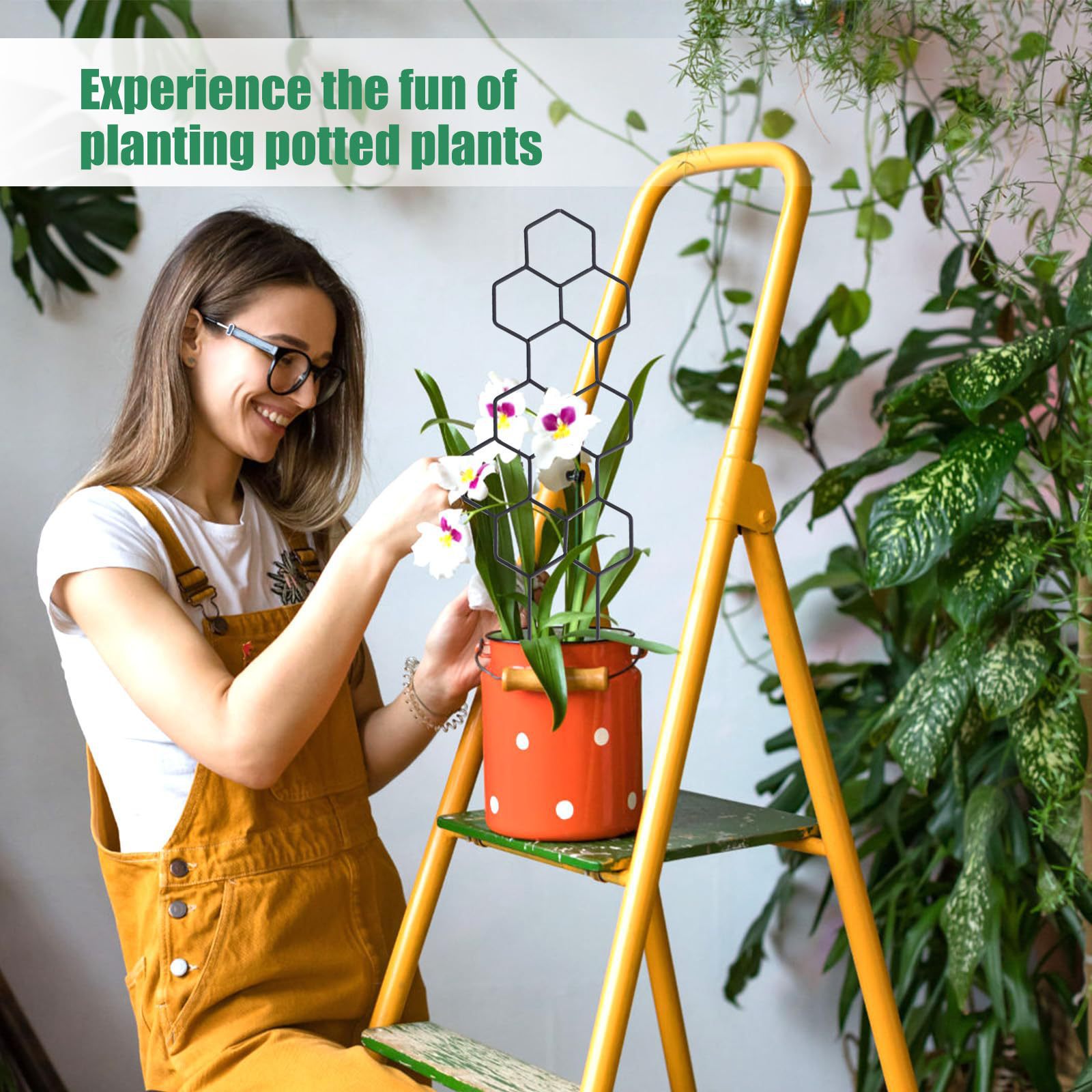1PC Honeycomb Design Plant Tre - Indoor Herb Garden ulasan dan harga