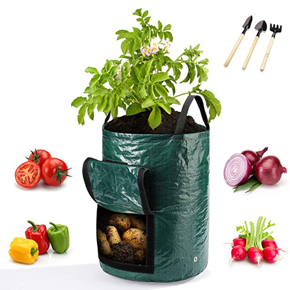 1pc 10-Gallon Grow Bags For Ve - Grow Bag ulasan dan harga